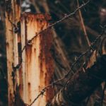 瑞丰贵宾会的魅力:为何成为高端人士的首选之地 7p0fjoiwsr