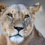 深入分析www.8868.com的功能与优势,助你轻松获取所需信息 9pzmv5el