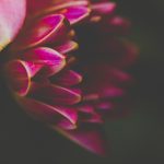 深度解析安博体育在全球市场的竞争优势与策略 cdrpql2xdx