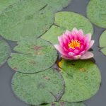 深入解析6731..com网站的功能与用户体验 hi8qtbkw