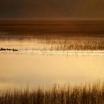 深入解析7981com:这个网站背后的故事与发展历程 sbmqt7bv