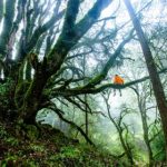 澳门威尼斯人视频在线全景直播:感受不一样的博彩魅力 shw03j2