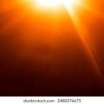 11运夺金最新开奖视频全程直播回放 4ajx0