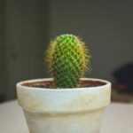 308080历史开奖号码完整记录与数据分析 anryyo