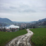 11运夺金开奖结果今日最新公布查询 i69j8c4twb