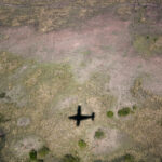 11选5开奖时间及最新结果查询指南 j91rkvct