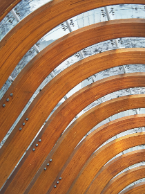 11最快开奖实时开奖结果查询