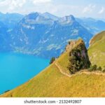 11选5开奖30期走势图全面解析与号码规律深度揭秘 l19kucu