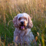 304开奖号前后走势深度解析与预测 onqf3