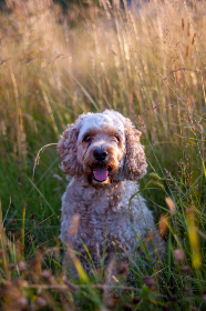 304开奖号前后走势深度解析与预测
