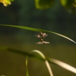 11选5三直开奖结果最新实时更新与历史数据分析 qc53xvcqyd