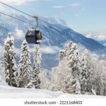 11直播网:畅享高清流畅的在线直播新体验 uc0z4cuh