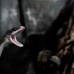 3023直播浙江卫视跨年晚会精彩盛况 uy0vp