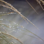 308期开奖结果116号揭晓,惊喜大奖花落谁家? yir655